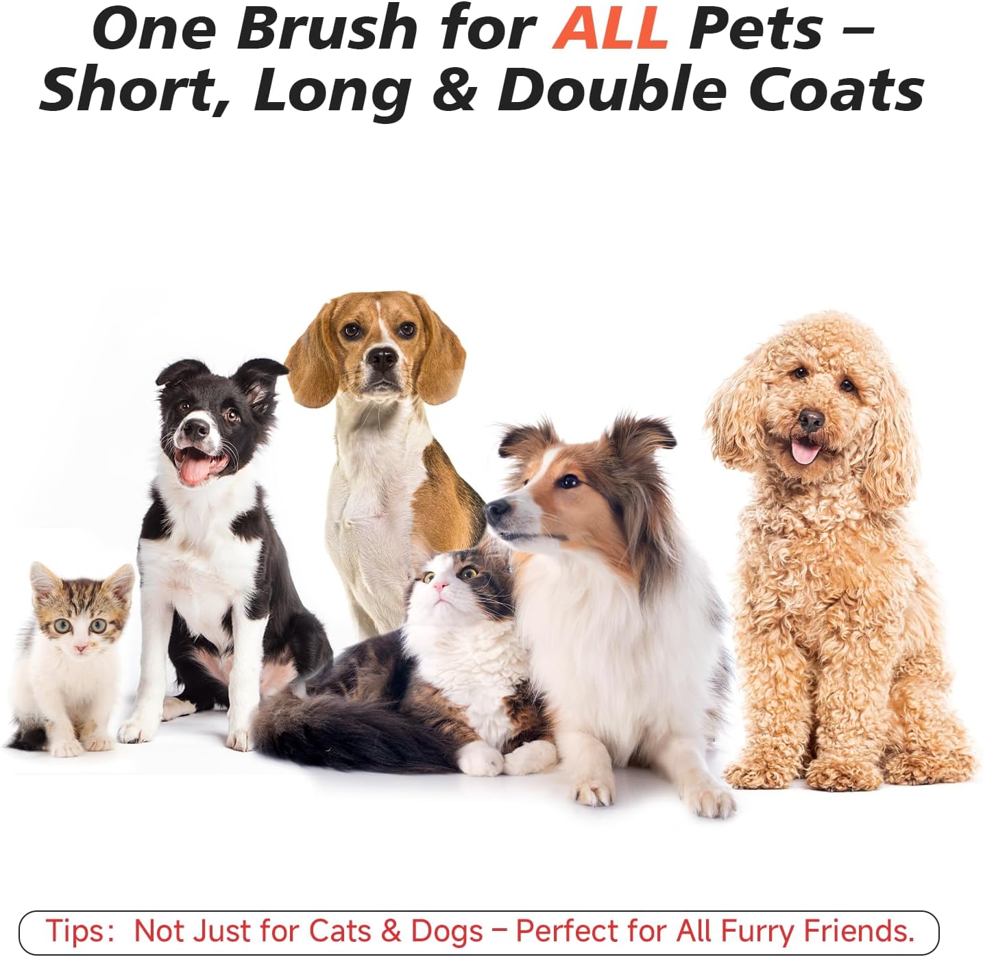 EcoPurrly 3-in-1 Steam Dog Brush for Grooming & Shedding – Self-Cleaning Deshedding Comb with Spray Function, Slicker Hair Removal Tool for Dogs & Cats